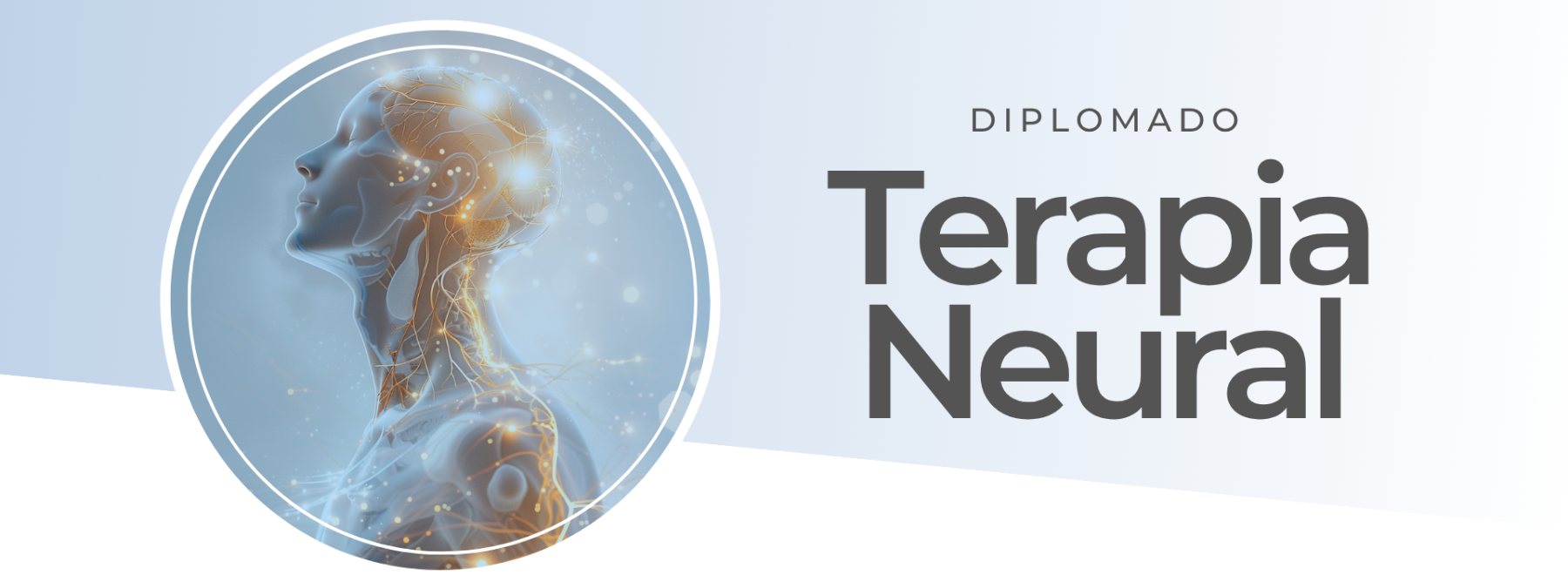 Banner de Diplomado en Terapia Neural
